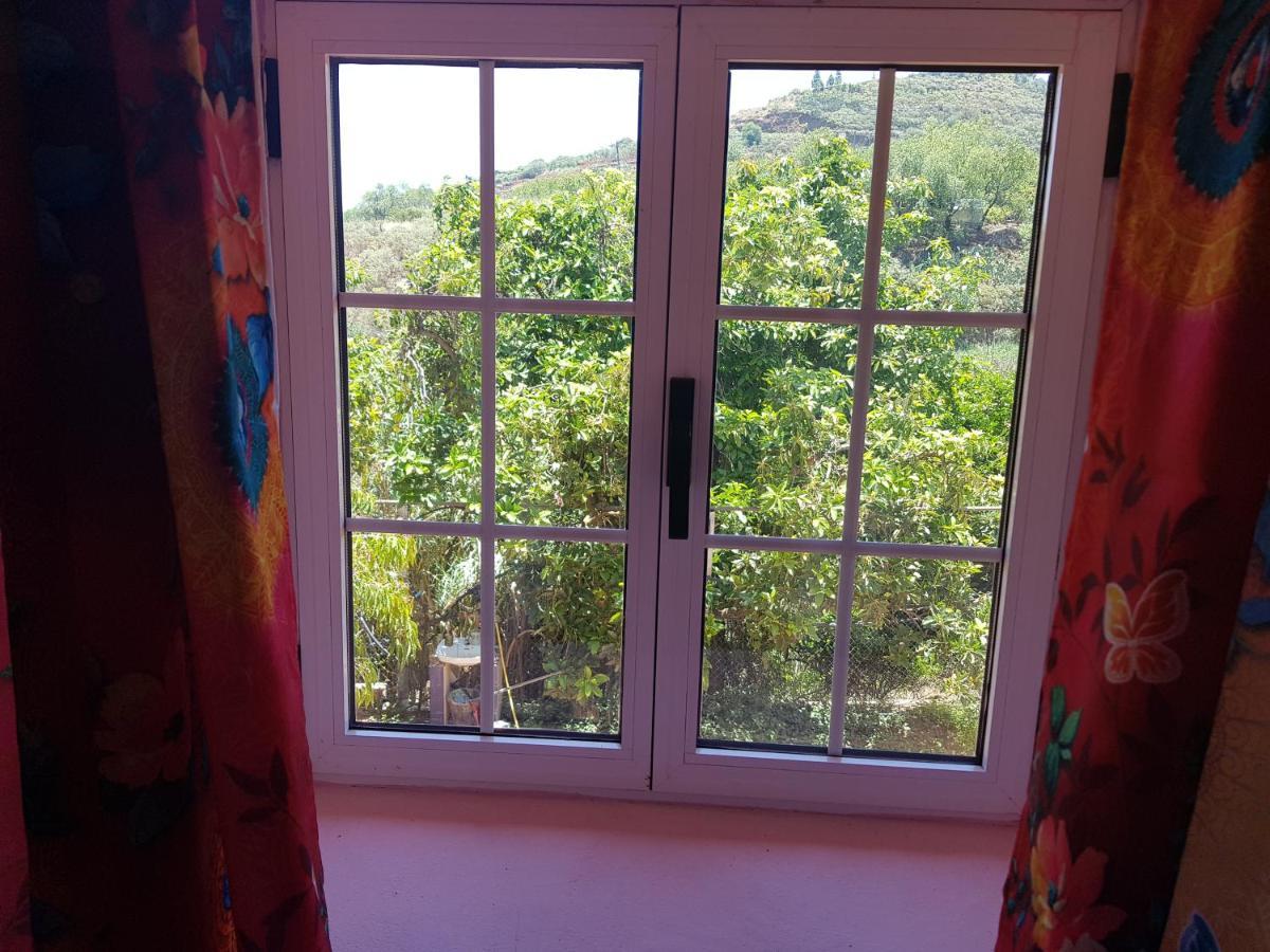 Finca Rural Torres Casas 1 Y 4 Bed & Breakfast Vega de San Mateo Ngoại thất bức ảnh