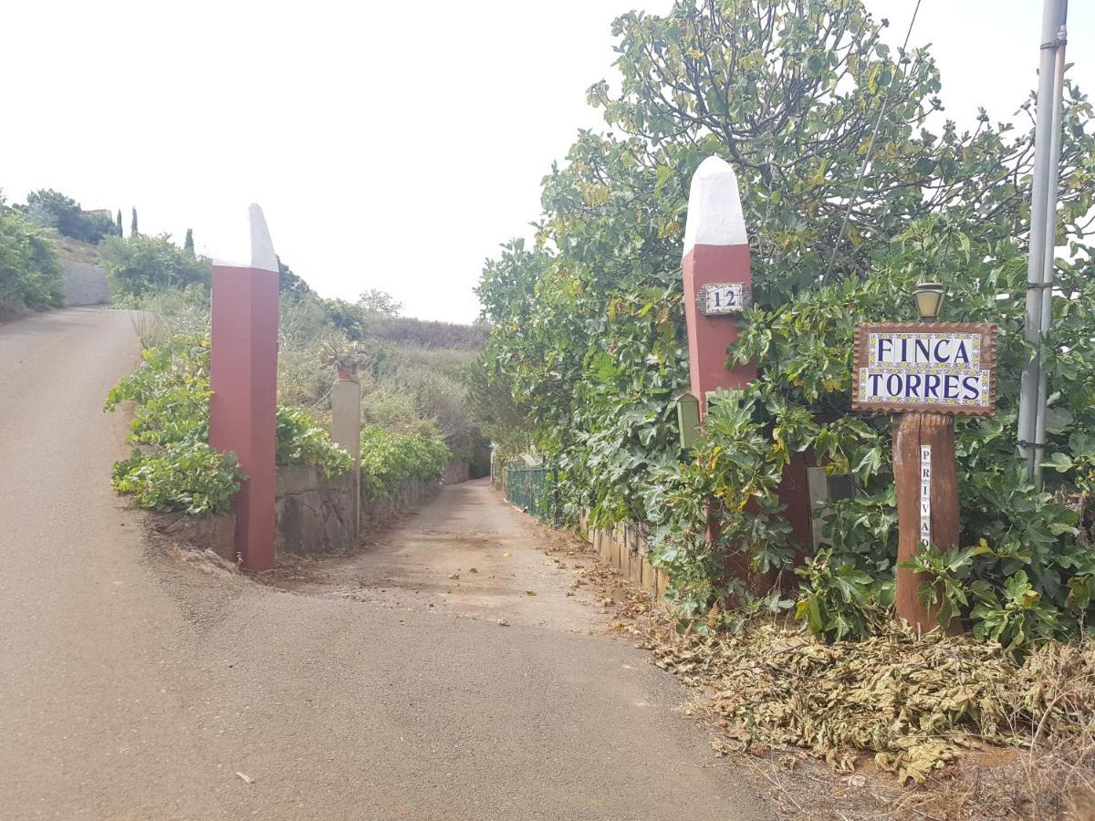Finca Rural Torres Casas 1 Y 4 Bed & Breakfast Vega de San Mateo Ngoại thất bức ảnh