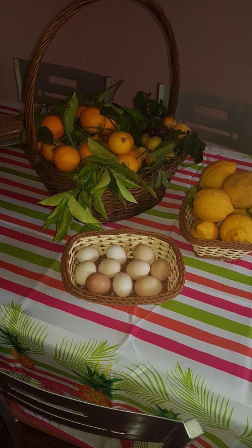 Finca Rural Torres Casas 1 Y 4 Bed & Breakfast Vega de San Mateo Ngoại thất bức ảnh