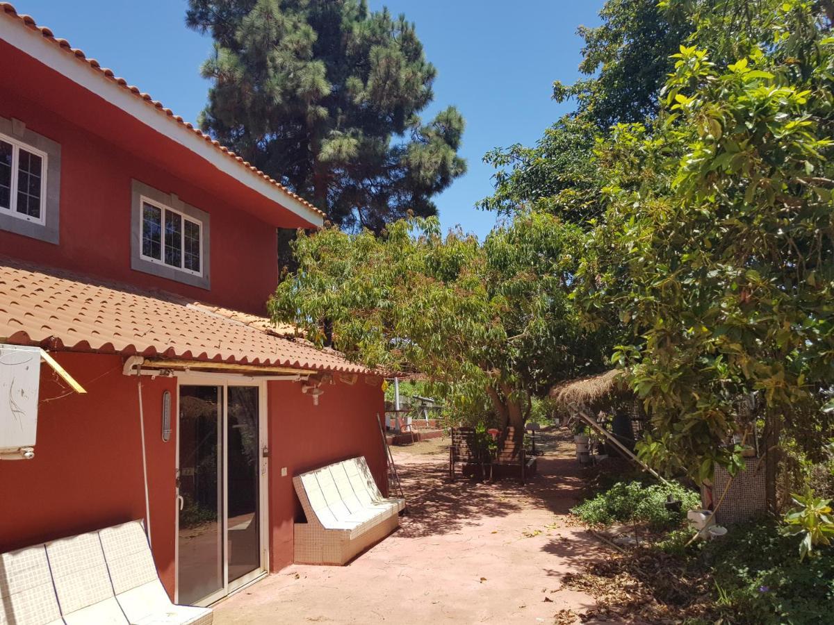 Finca Rural Torres Casas 1 Y 4 Bed & Breakfast Vega de San Mateo Ngoại thất bức ảnh