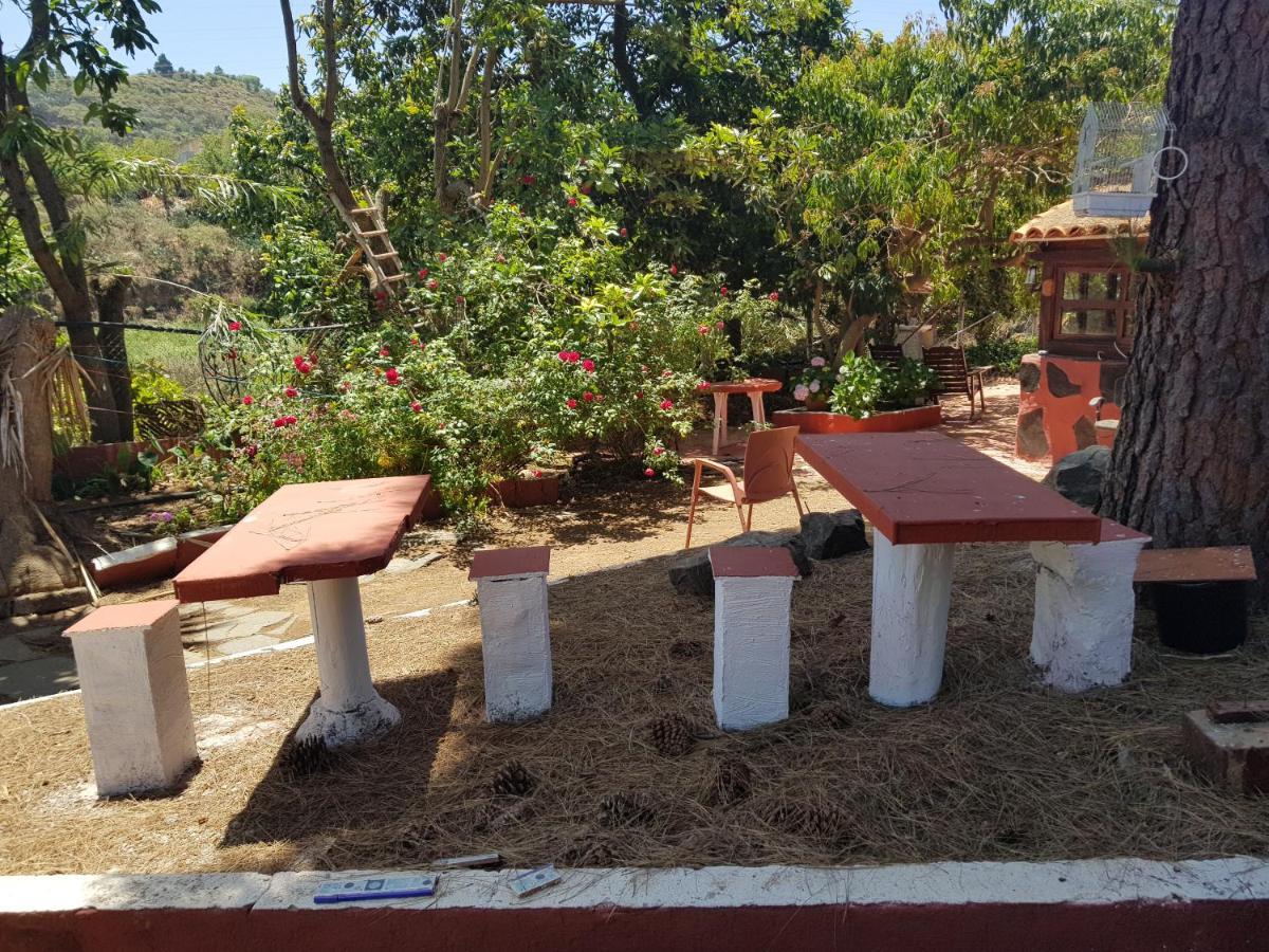 Finca Rural Torres Casas 1 Y 4 Bed & Breakfast Vega de San Mateo Ngoại thất bức ảnh