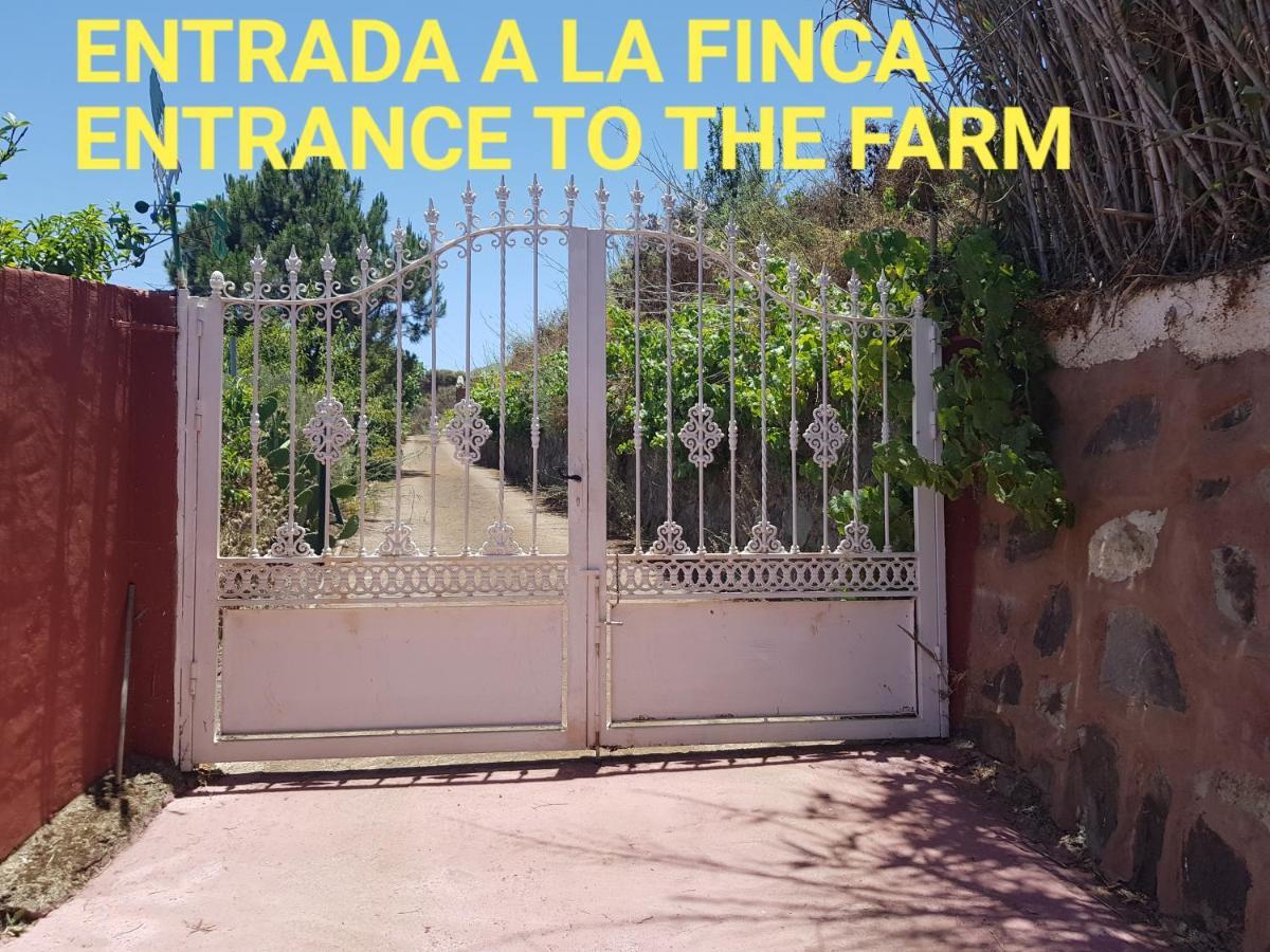 Finca Rural Torres Casas 1 Y 4 Bed & Breakfast Vega de San Mateo Ngoại thất bức ảnh