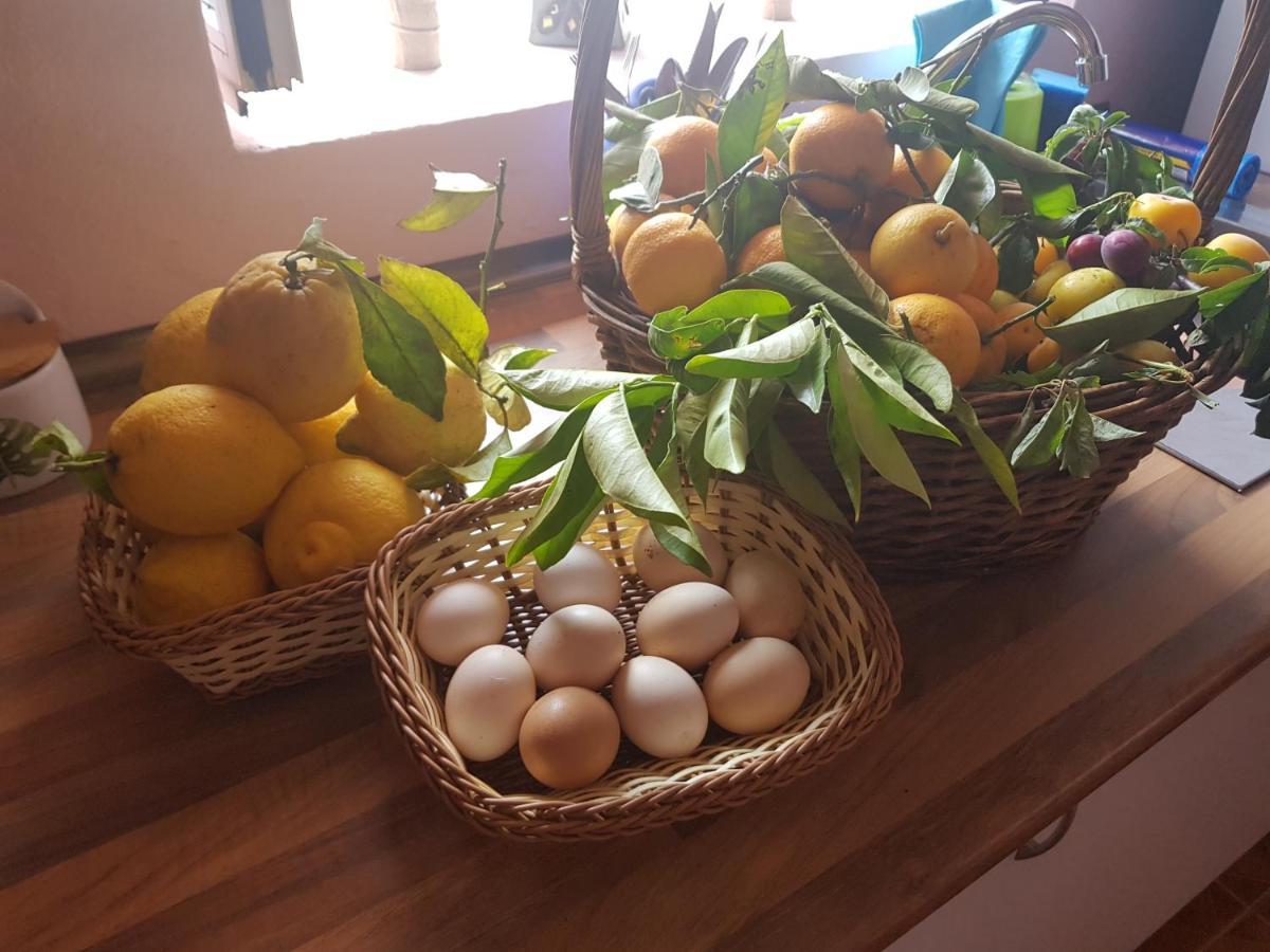 Finca Rural Torres Casas 1 Y 4 Bed & Breakfast Vega de San Mateo Ngoại thất bức ảnh