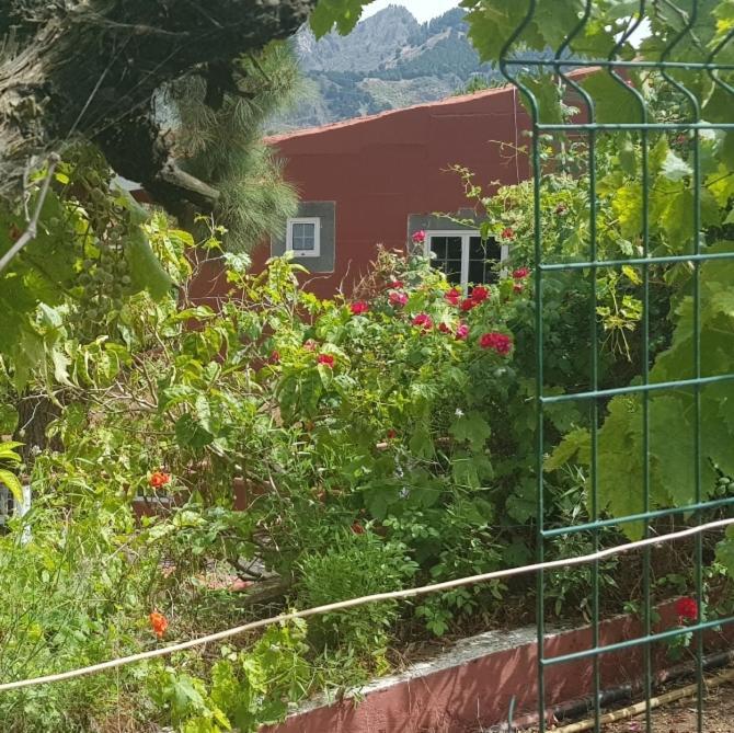 Finca Rural Torres Casas 1 Y 4 Bed & Breakfast Vega de San Mateo Ngoại thất bức ảnh