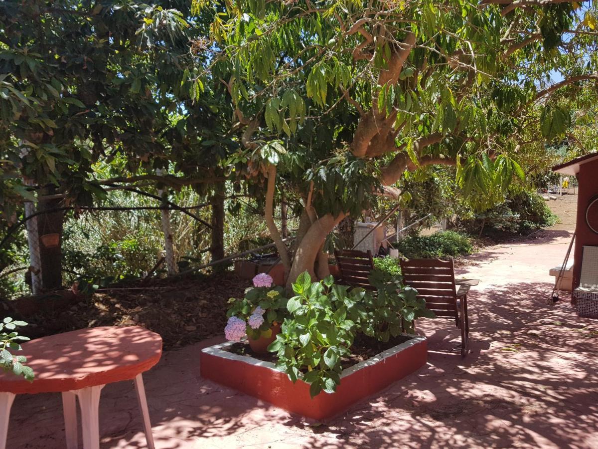 Finca Rural Torres Casas 1 Y 4 Bed & Breakfast Vega de San Mateo Phòng bức ảnh