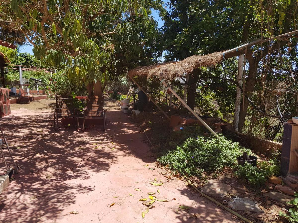 Finca Rural Torres Casas 1 Y 4 Bed & Breakfast Vega de San Mateo Phòng bức ảnh